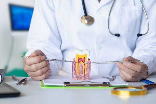 Best Emergency Tooth Extraction in Concordia, MO